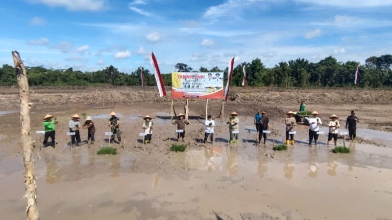 Tanam padi perdana bersama Bupati Kapuas HM Wiyatno dilaksanakan di lokasi Cetak Sawah Rakyat Desa Sei Kayu, Kecamatan Kapuas Barat, Sabtu (21/6/2025). 
