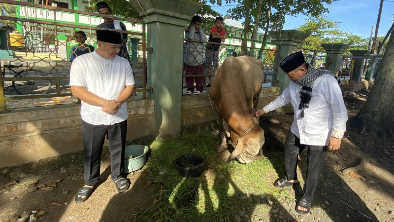 Bupati Kapuas H Muhammad Wiyatno dan Wakil Bupati Kapuas Dodo sebelum menyerahkan bantuan sapi kurban dari Presiden Republik Indonesia di Halaman Masjid Agung Al Mukarram, Jumat (6/6/2025).

