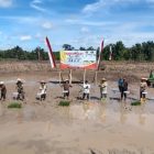 Tanam padi perdana bersama Bupati Kapuas HM Wiyatno dilaksanakan di lokasi Cetak Sawah Rakyat Desa Sei Kayu, Kecamatan Kapuas Barat, Sabtu (21/6/2025). 
