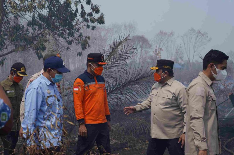 Wagub Kalteng Edy Pratowo didampingi Kepala Pelaksana BPB-PK Provinsi Kalimantan Tengah Ahmad Toyib bersama jajaran dan petugas gabungan meninjau langsung penanganan Karhutla di lapangan.